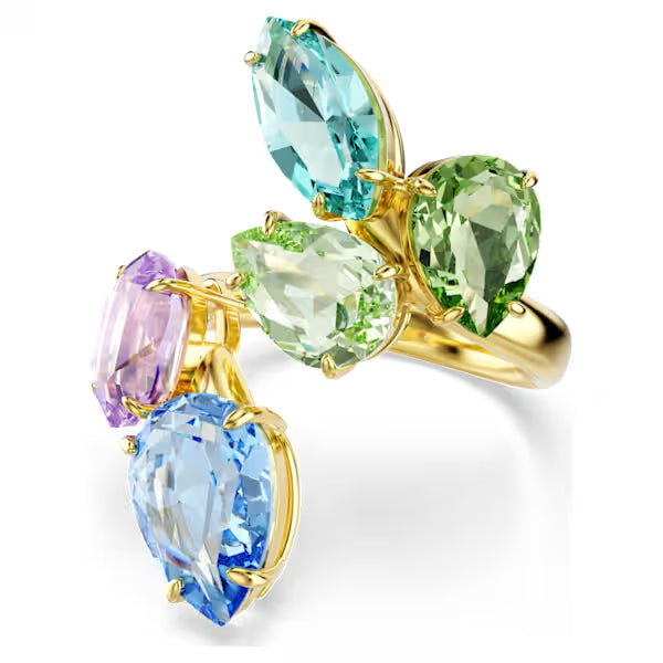 Anello con motivo Gema Multic