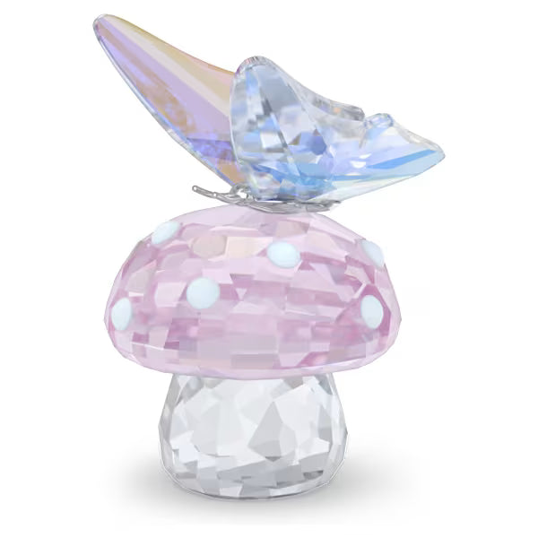Fungo e Farfalla Ariana Grande