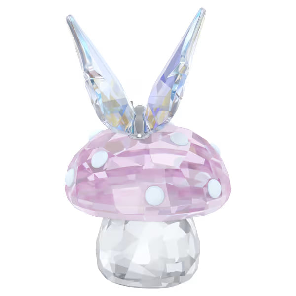 Fungo e Farfalla Ariana Grande