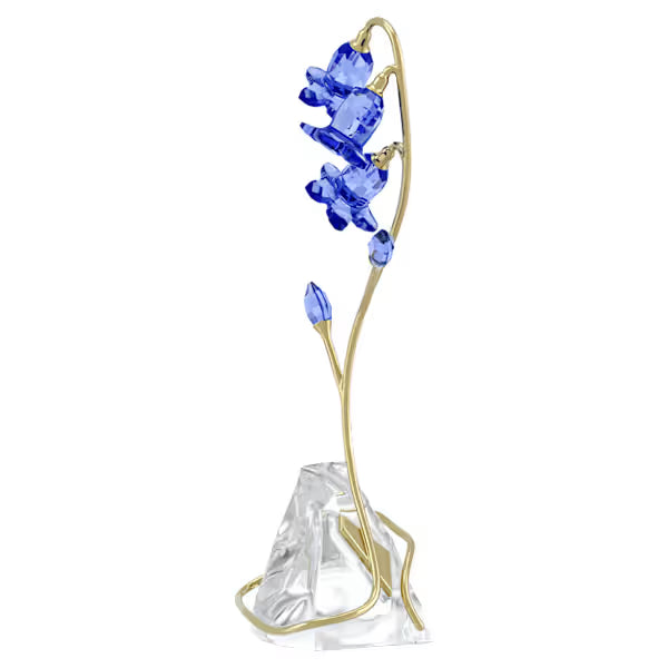 Florere Campanula Blu