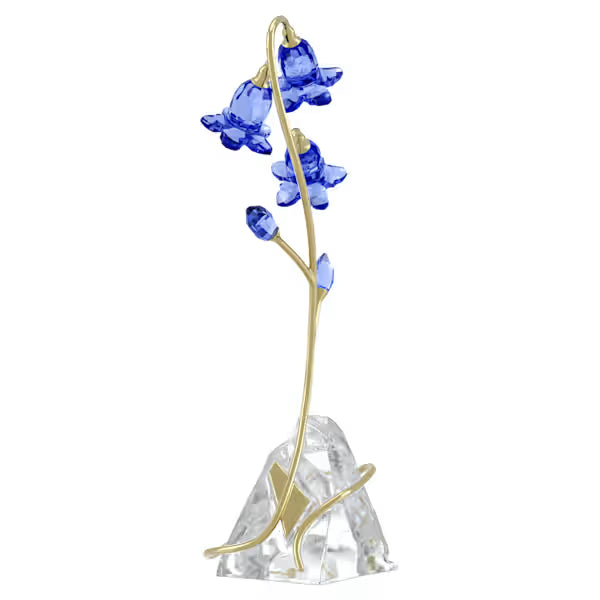 Florere Campanula Blu