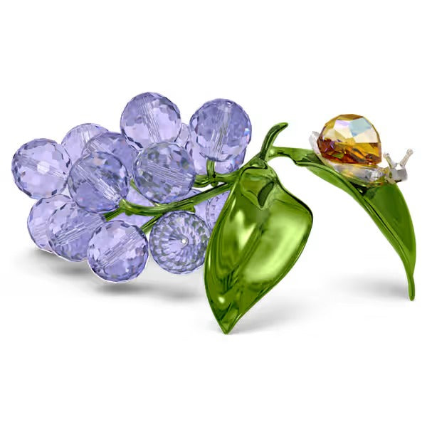 Idyllia Chiocciola e Mirtilli