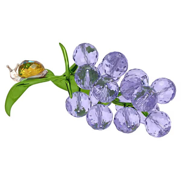 Idyllia Chiocciola e Mirtilli