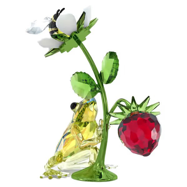 Idyllia Rana Ape e Fragola