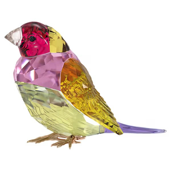 Idyllia SCS Diamante di Gould Grande