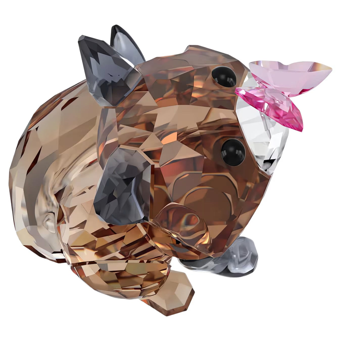 Idyllia Volpe e Farfalla