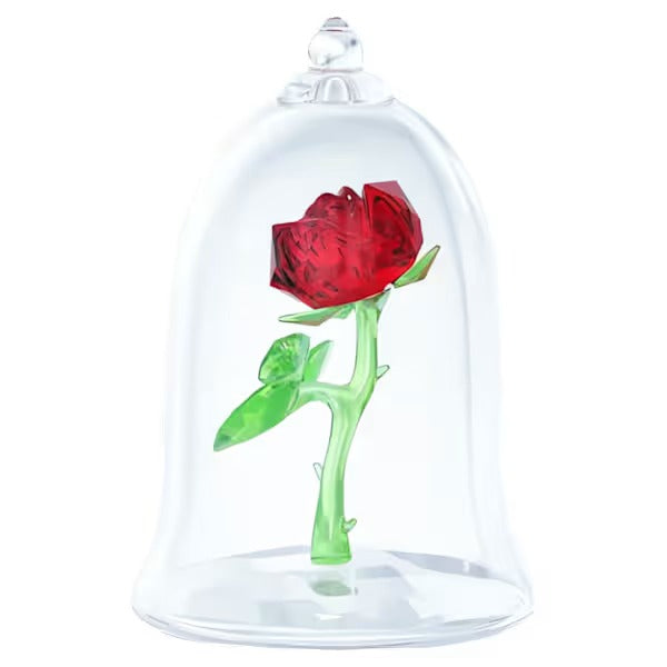 Rosa Incantata