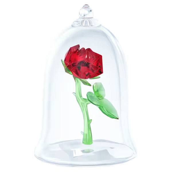 Rosa Incantata