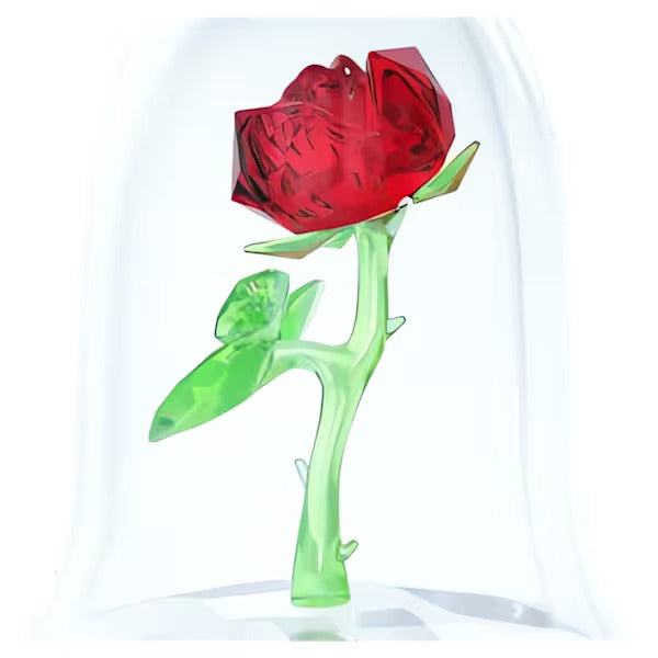 Rosa Incantata