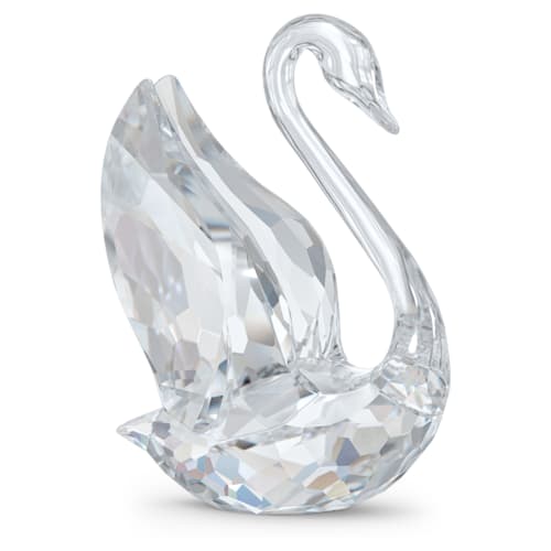 Signum Cigno medio