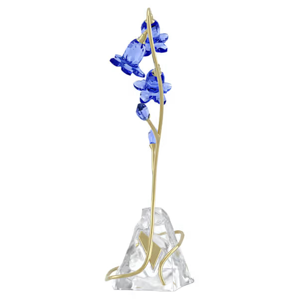 Florere Campanula Blu