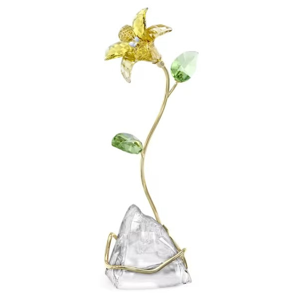 Fiore Lily