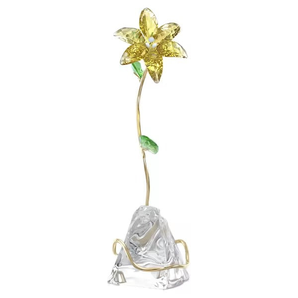 Fiore Lily