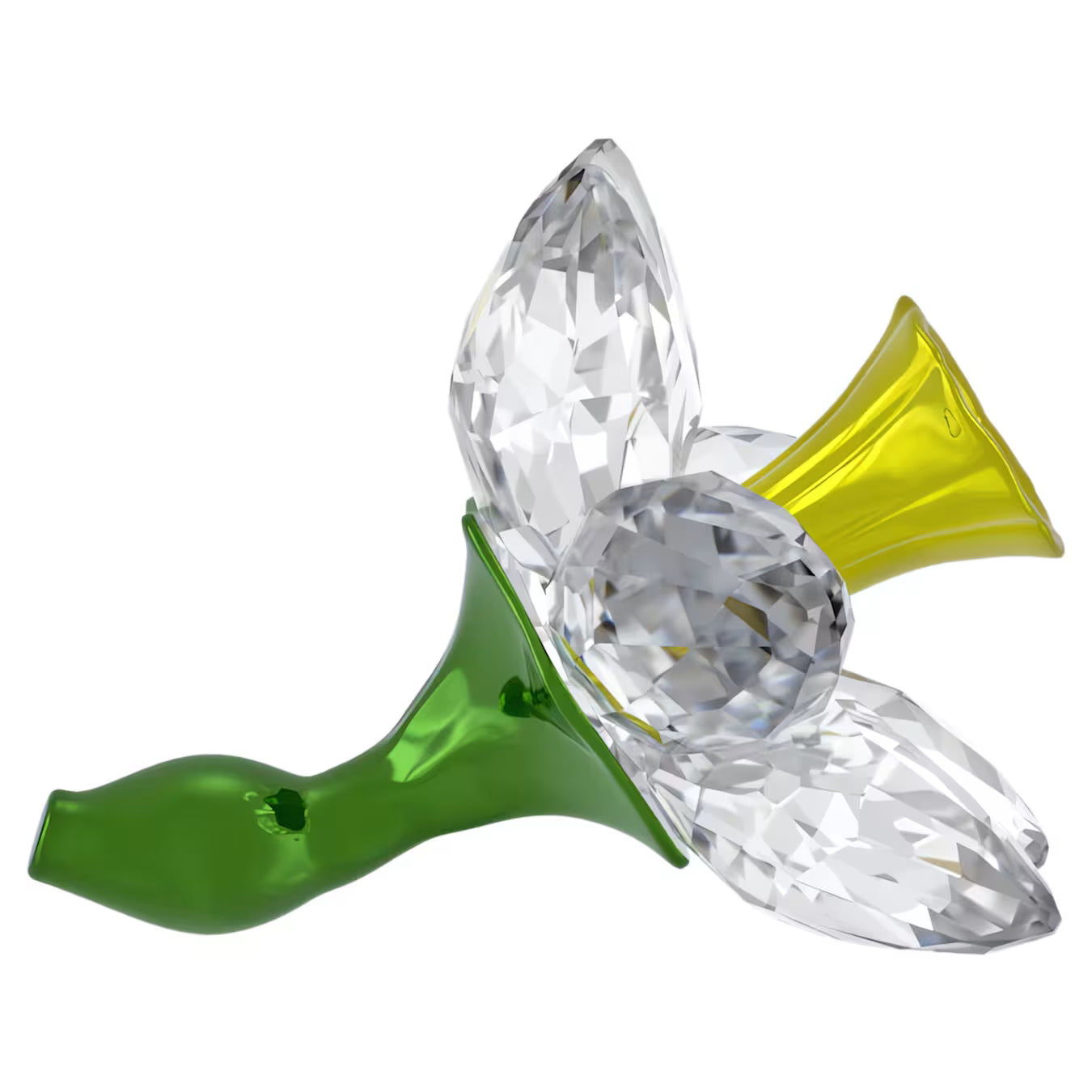 Florere Narciso