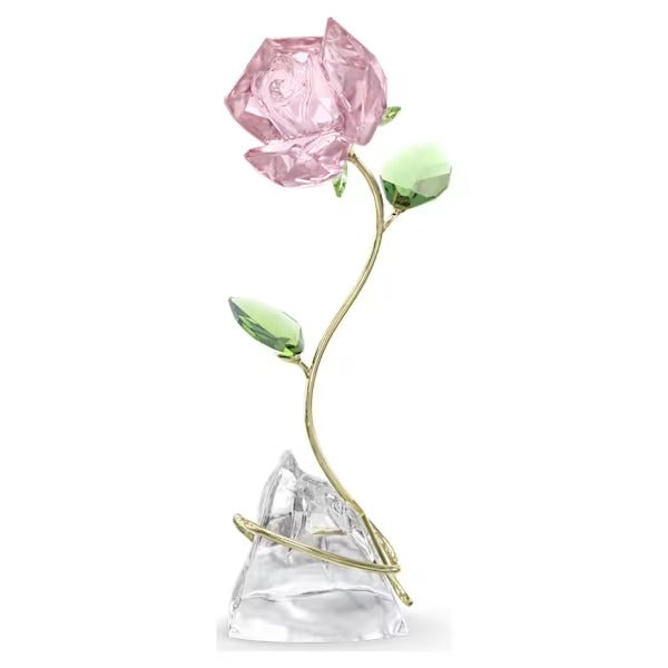 Fiore Rosa