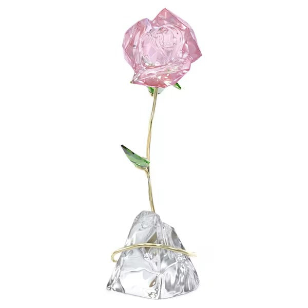 Fiore Rosa