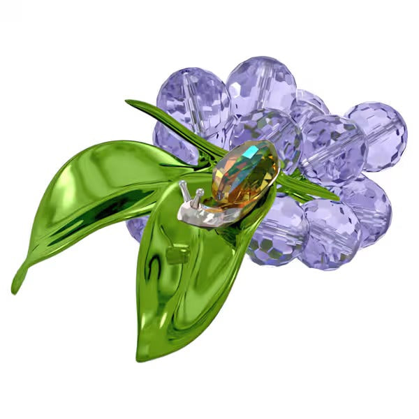 Idyllia Chiocciola e Mirtilli
