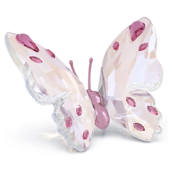 Idyllia Farfalla