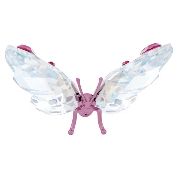 Idyllia Farfalla