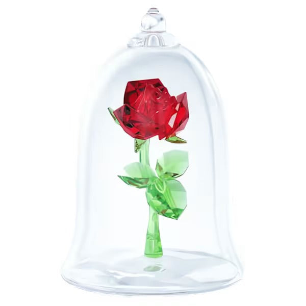 Rosa Incantata