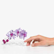 Carica l&#39;immagine nel visualizzatore di Gallery, Orchidea
